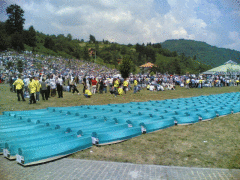 День памяти жертв Сребреницы и всех войн
