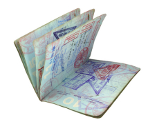 День сотрудника паспортно-визовой службы Кыргызстана