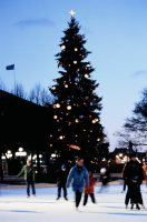 Рождественская елка, Стокгольм, Швеция 