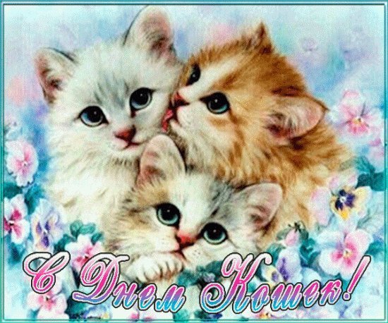 Поздравительная открытка с международным днем кошек