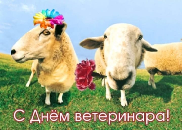 Поздравительная открытка с днем ветеринара в России