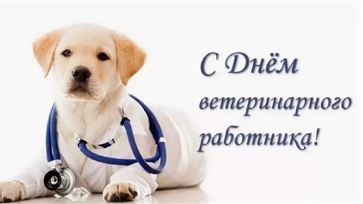 Поздравительная открытка с днем ветеринара в России